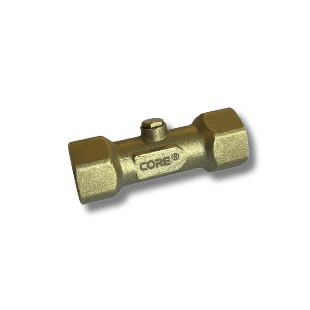 Check Valve